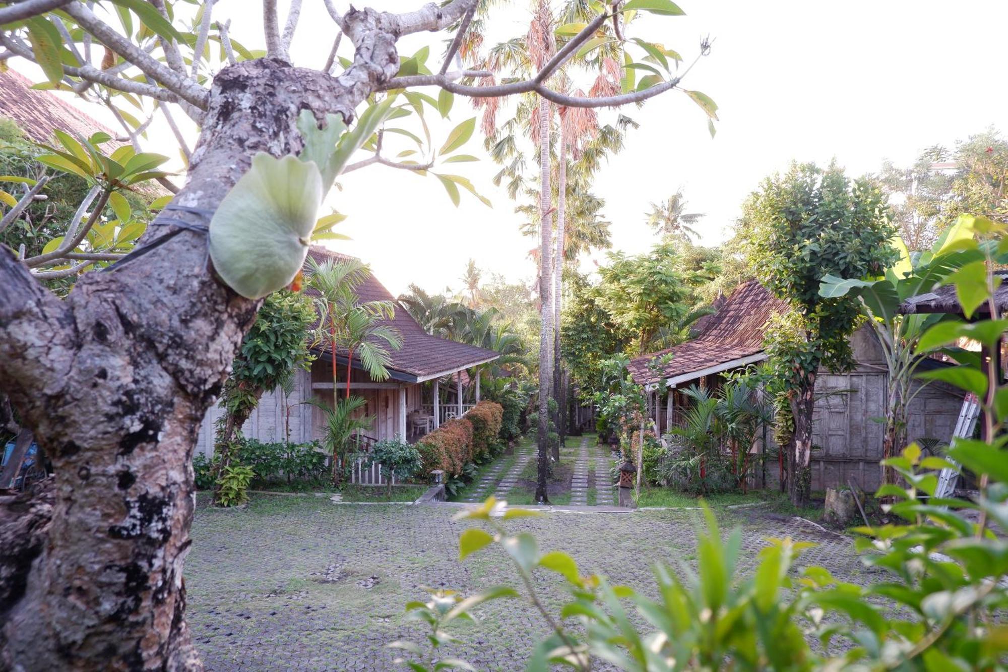 Kubudiuma Bali Guest house Canggu (Bali)