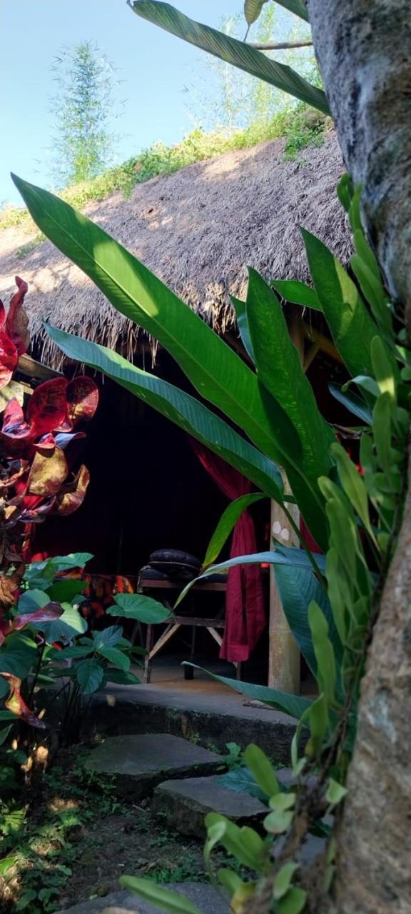Swarma Eco Jungle Retreat *