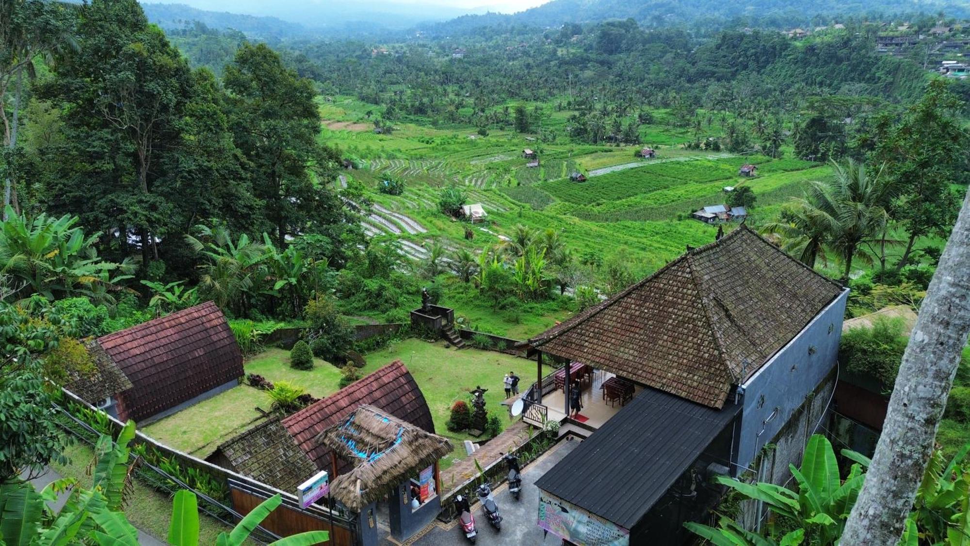 Lumbung Ayu Sari & Homestay *