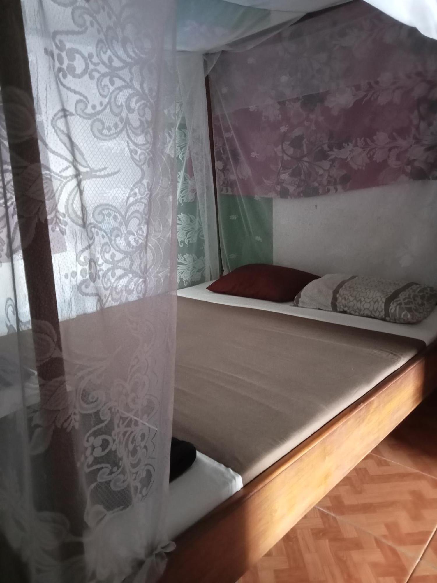 Hostel Apollo