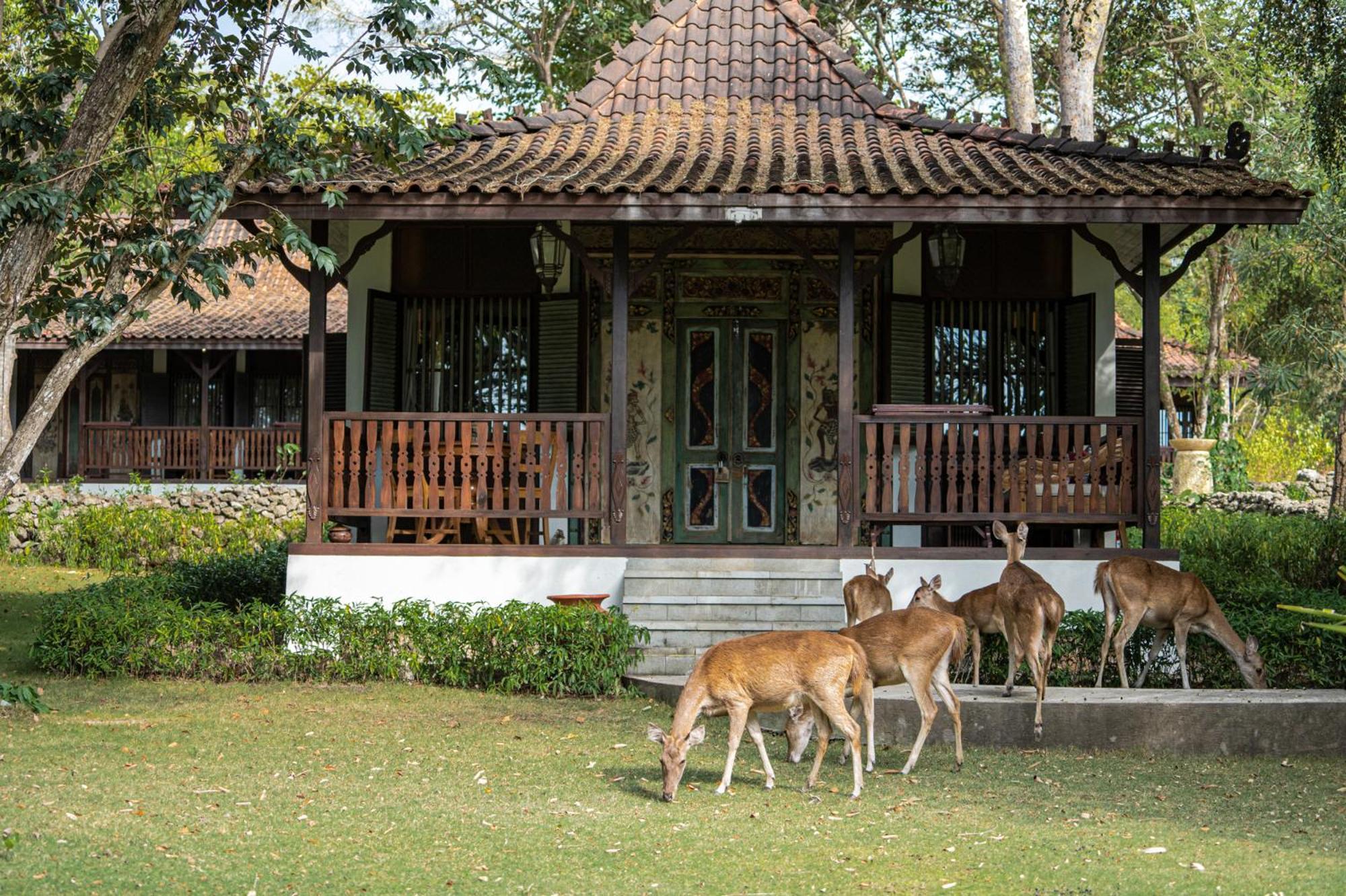 Plataran Menjangan And - Chse Certified 5* Banyuwedang