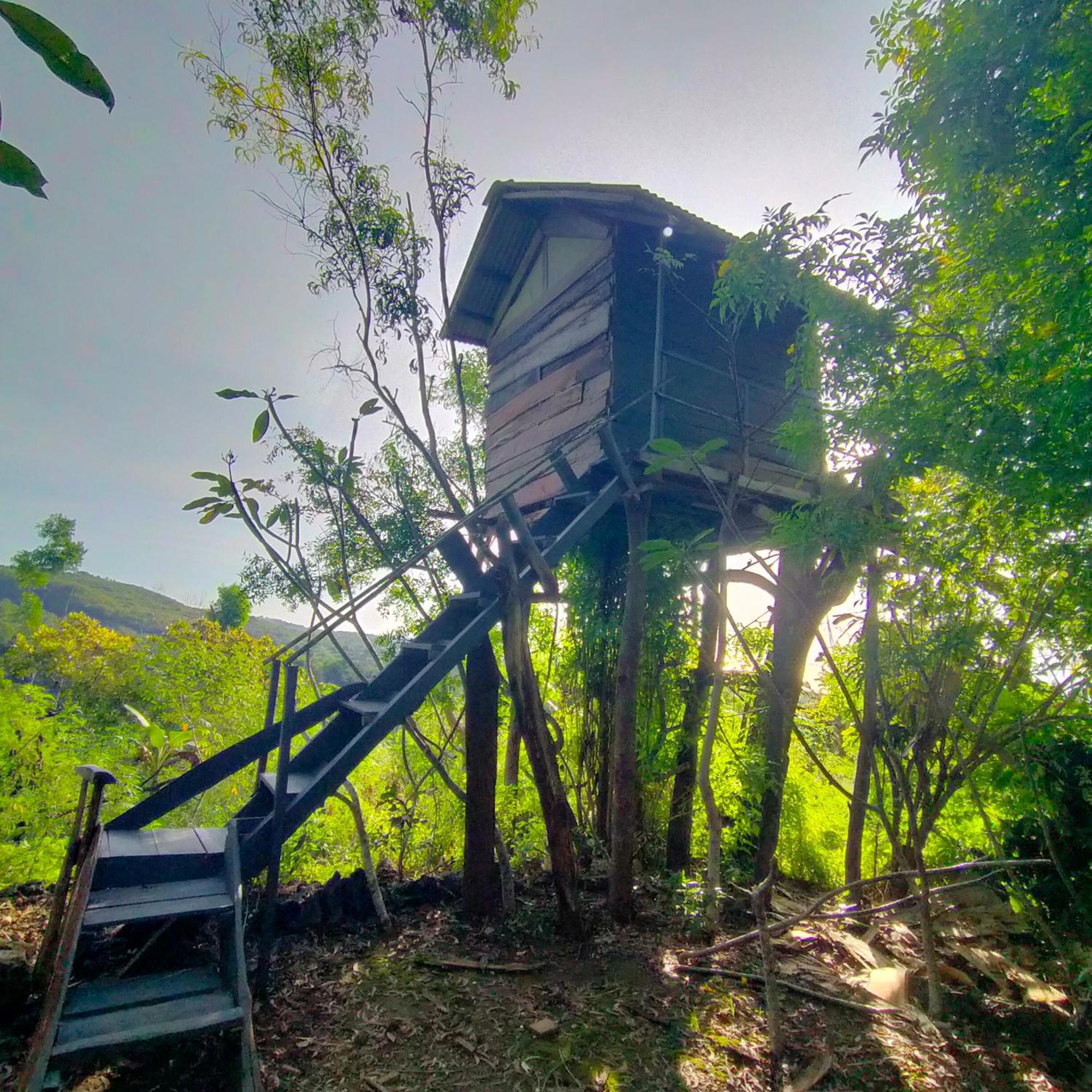 Holiday park Rumah Pohon Batununggul