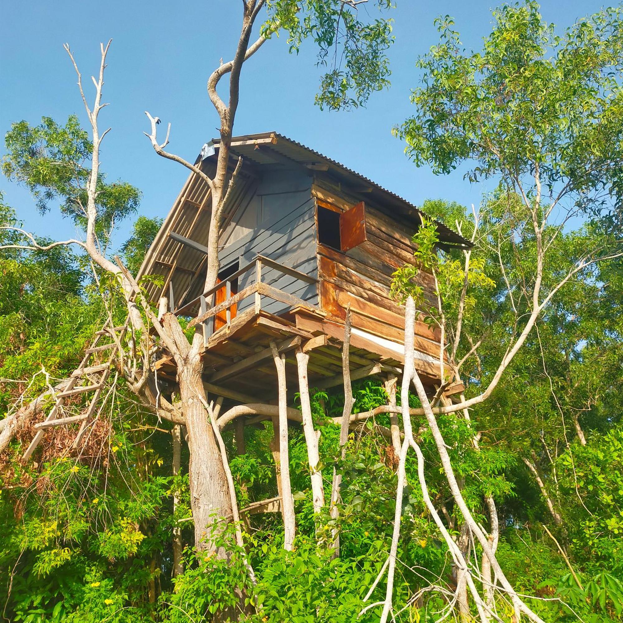 Rumah Pohon Holiday park