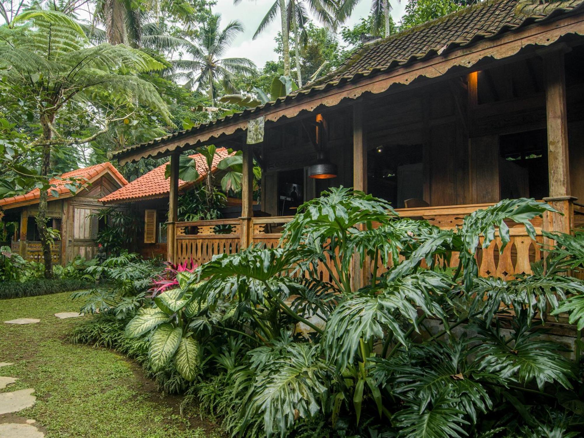 Dewi Tara Haven * Gianyar (Bali)