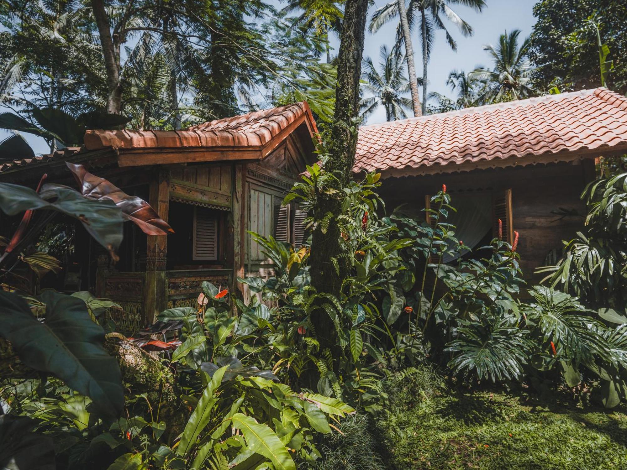 Bed & Breakfast Dewi Tara Haven Gianyar (Bali)