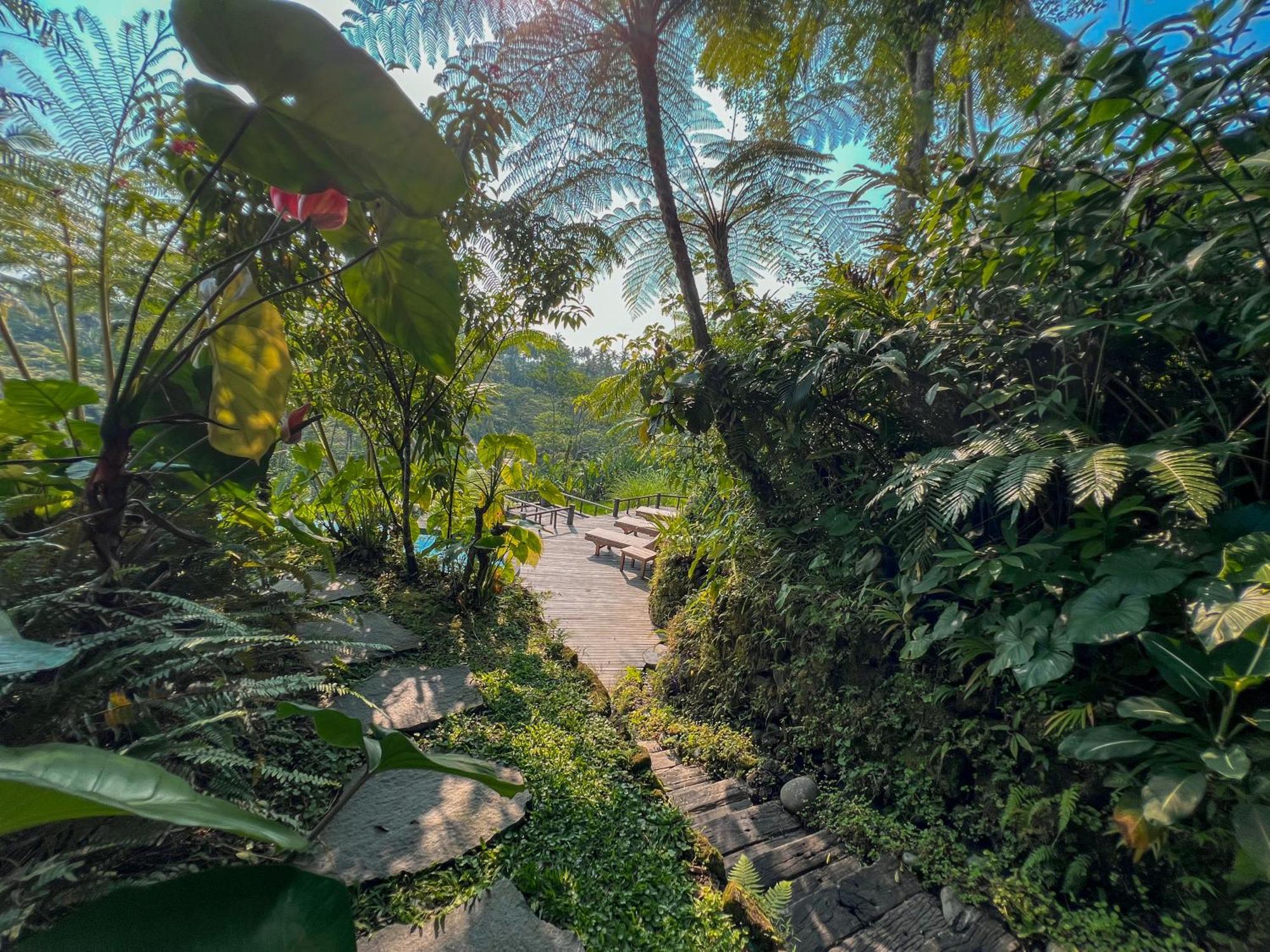 Dewi Tara Haven * Gianyar (Bali)