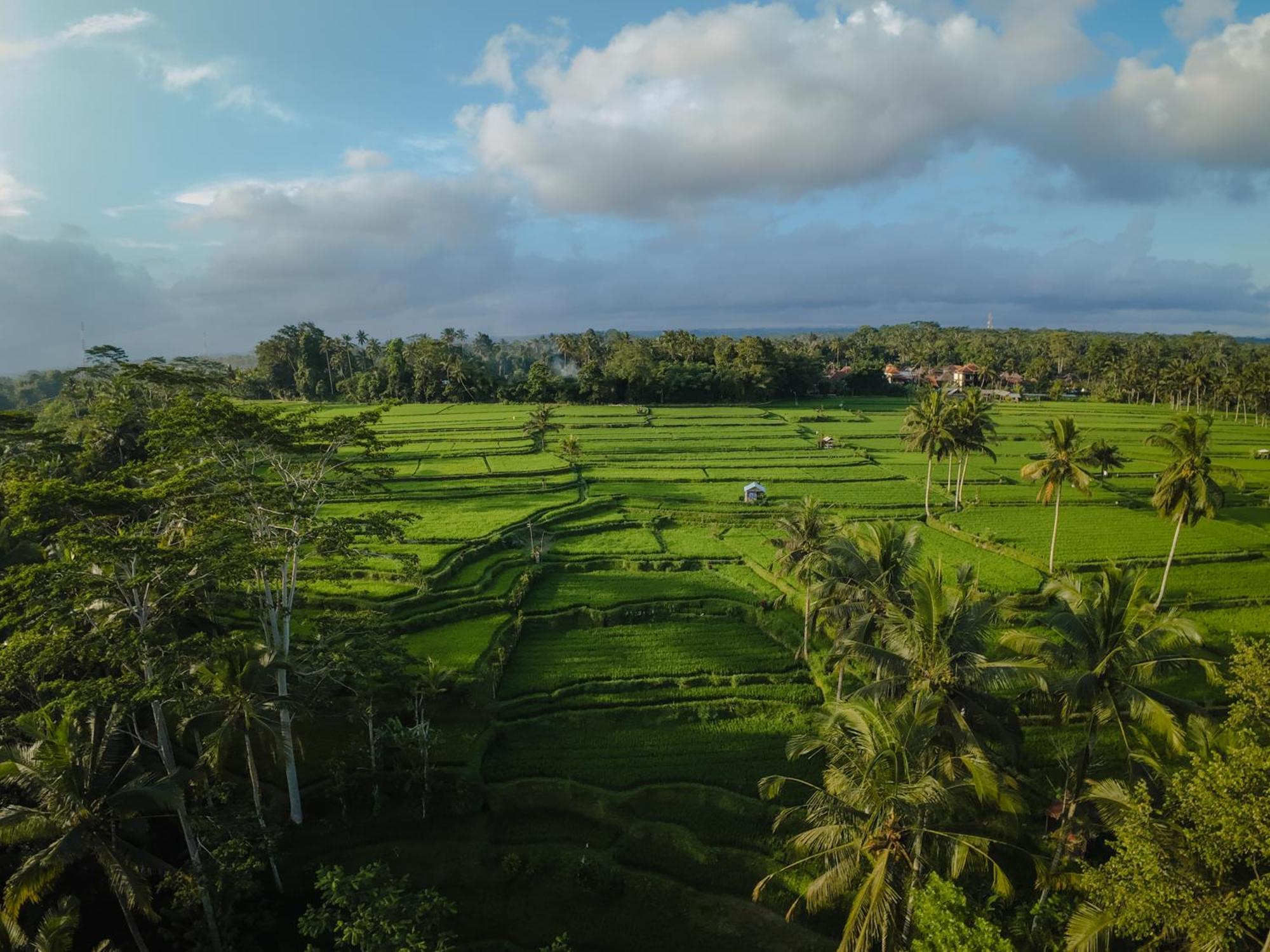Dewi Tara Haven