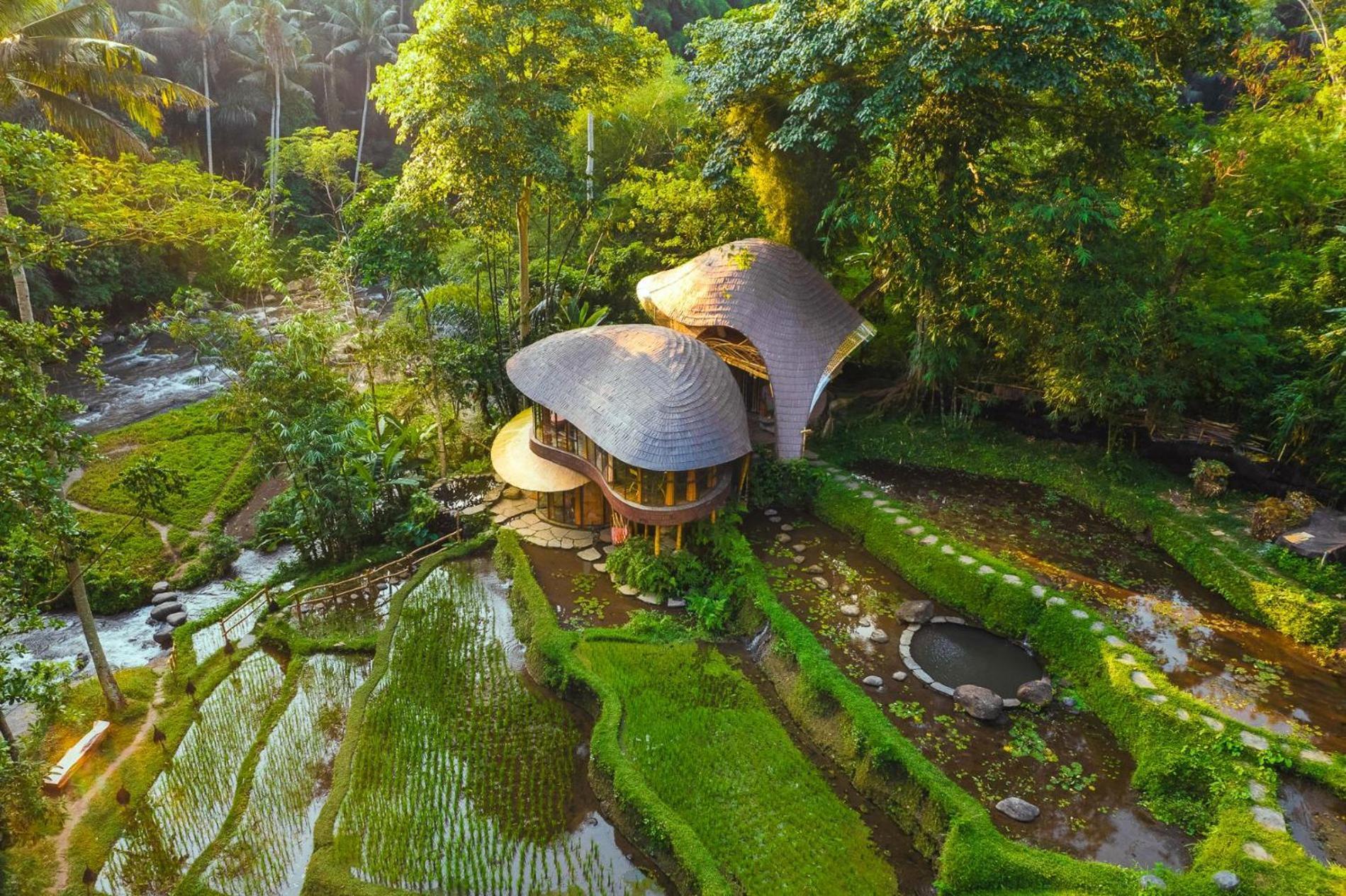 Resort Bambu Indah Ubud (Bali)
