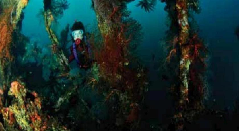 Wreck Divers & Restaurant
