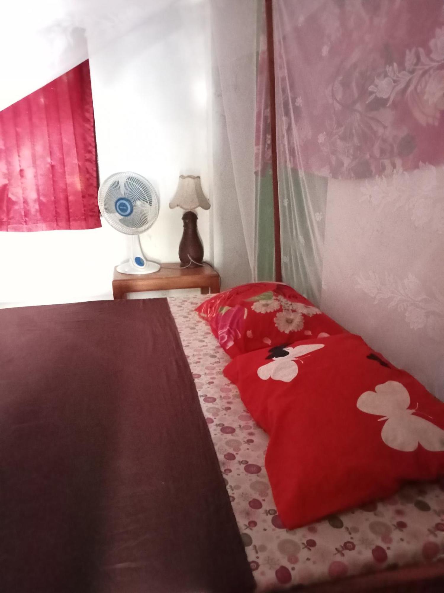 Hostel Apollo *