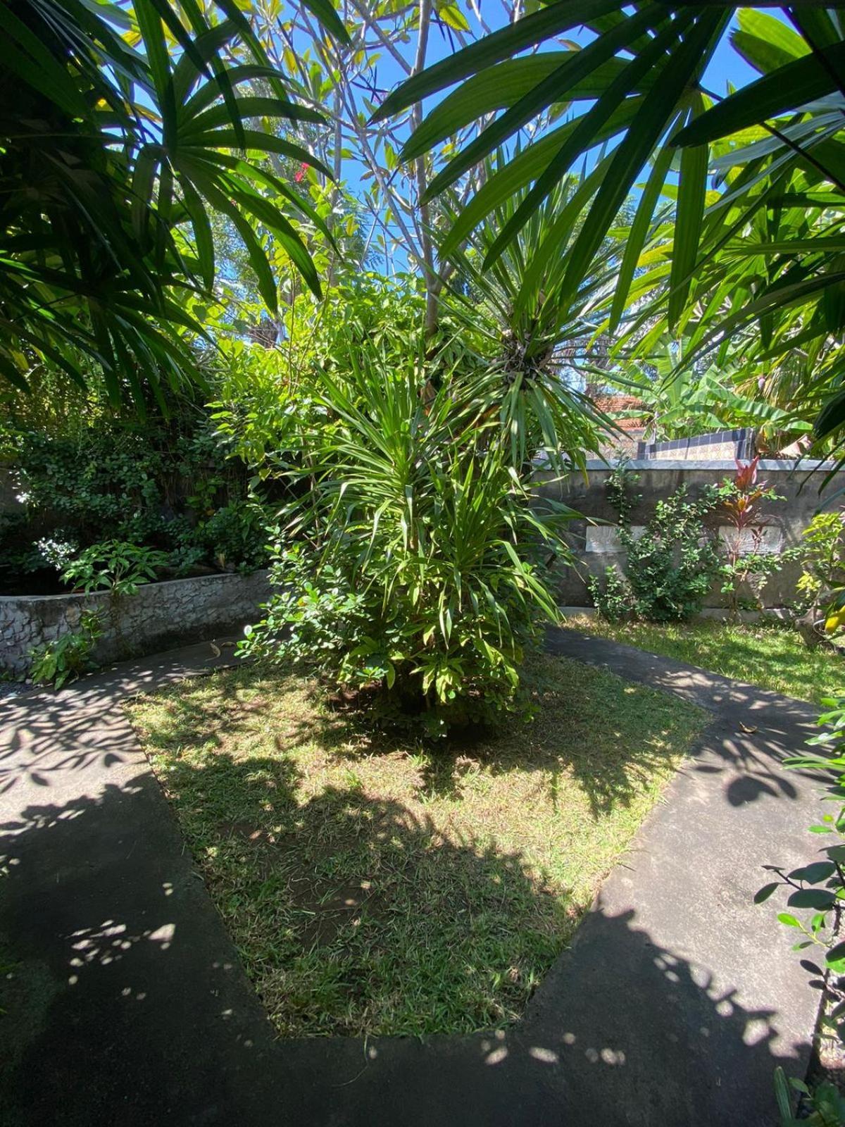 Putu Guest house Pemuteran (Bali)