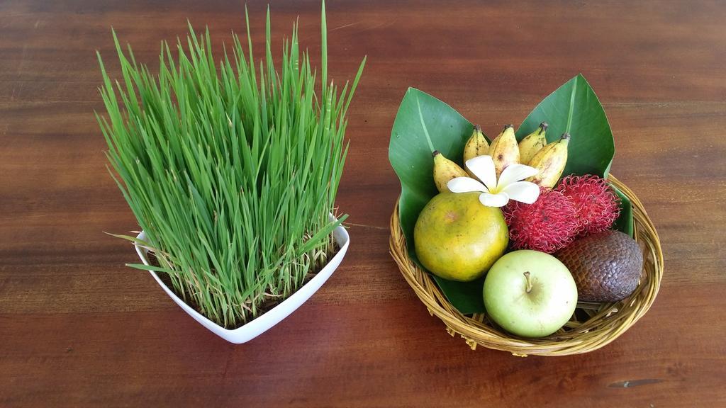 Palm Garden Bali Hotel 3*