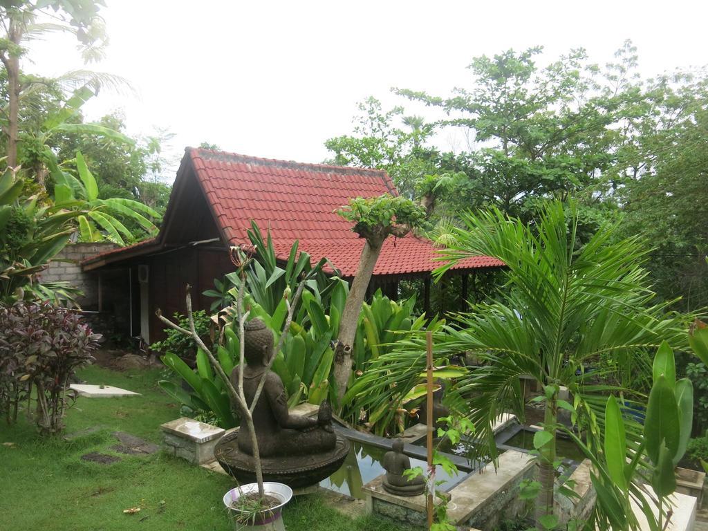 Pt Putra Momongan Menyelam Scuba Wisma tamu