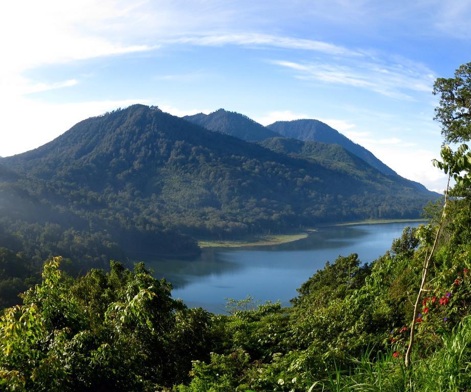 Wisma tamu Terrasse Du Tamblingan 2*
