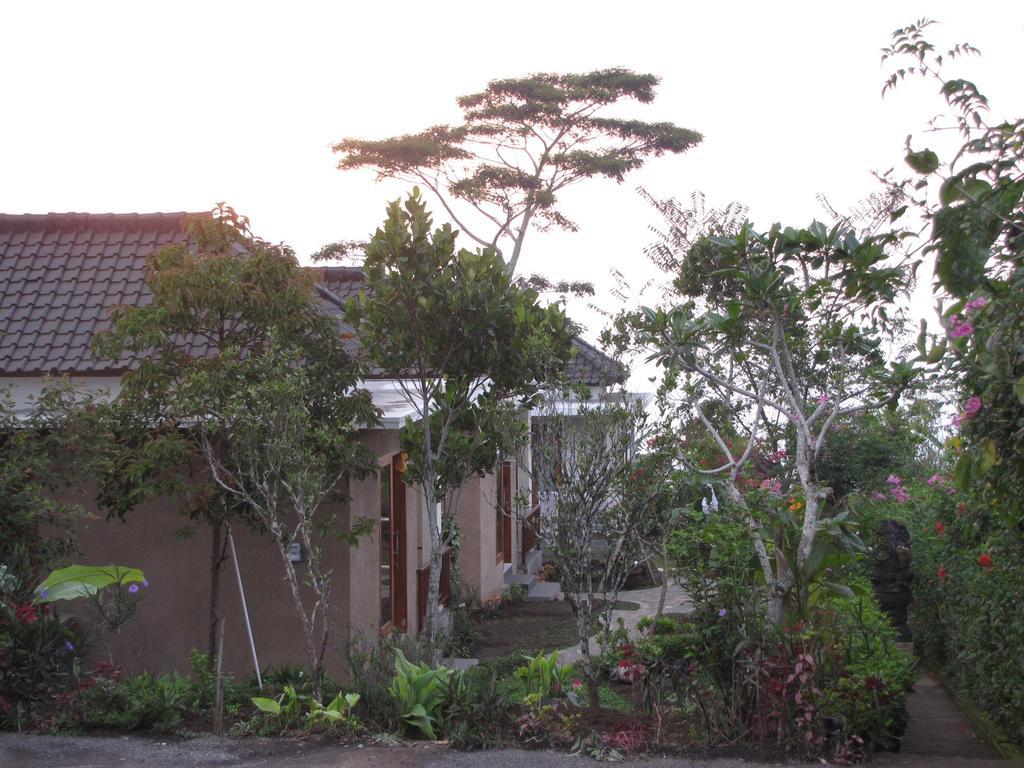 Terrasse Du Tamblingan