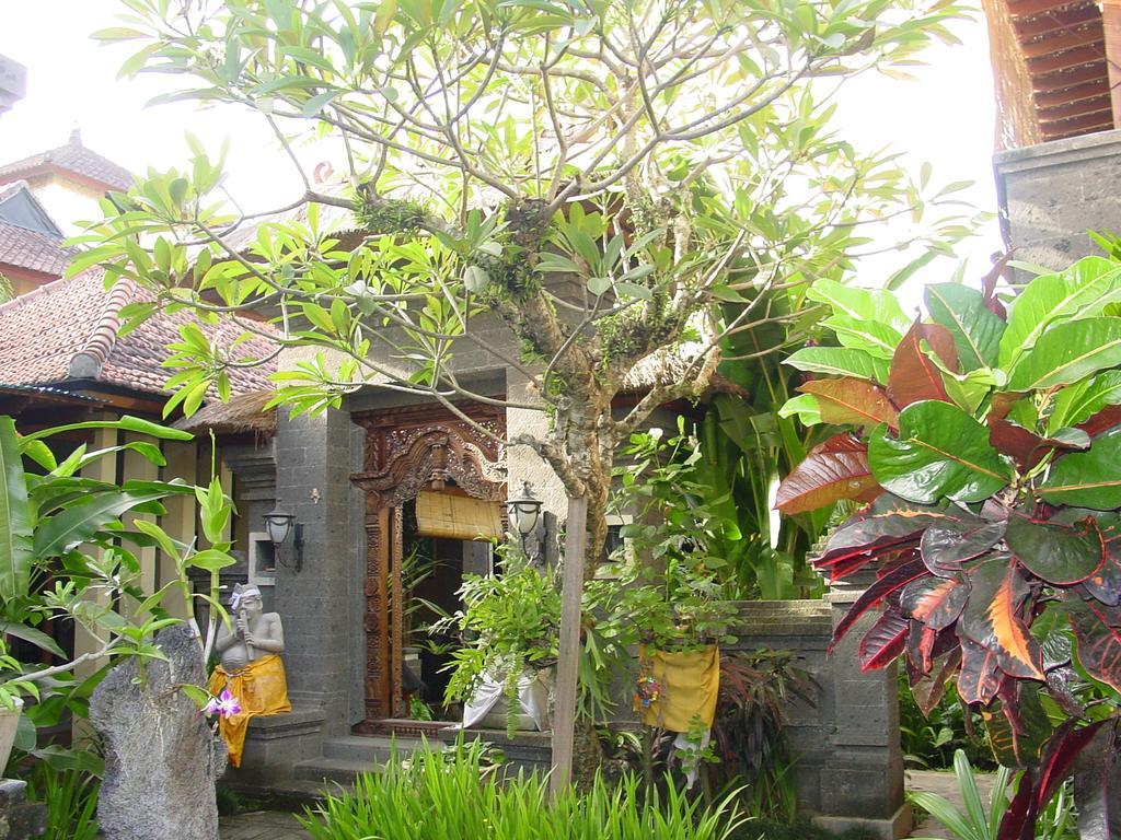 Putu Bali & Seminyak (Bali)