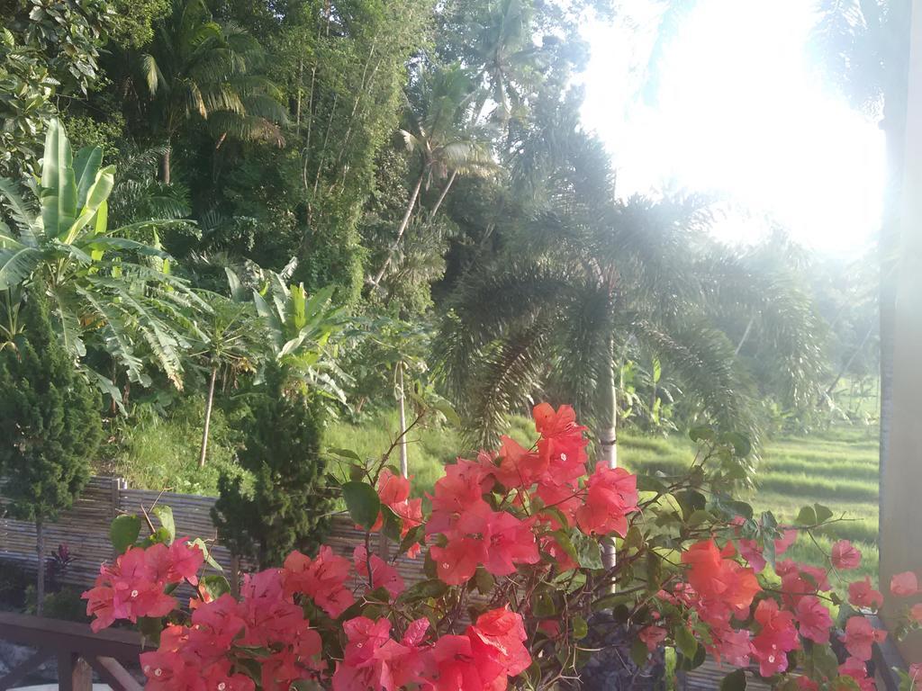 Bali Butterfly Villas Holiday park *