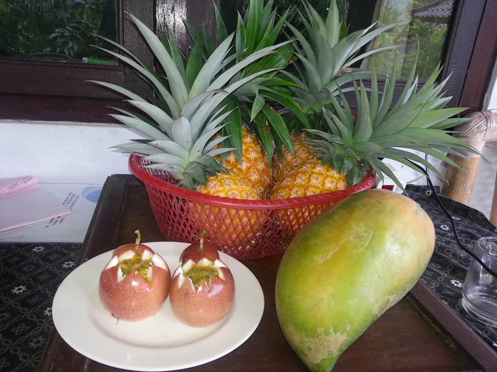 Khrisna Hs And Guest house Sidemen (Bali)