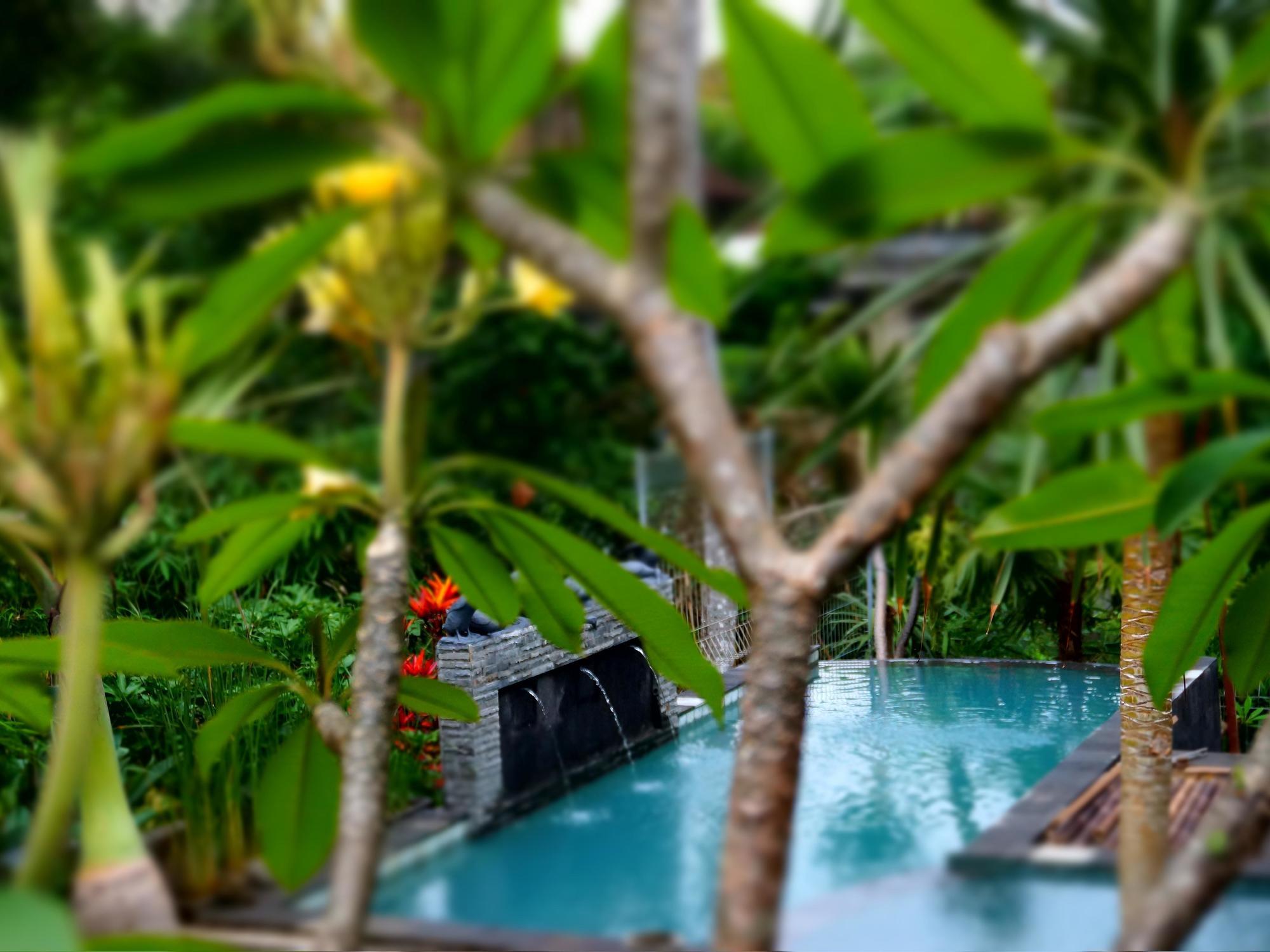 Guest house Desak Putu Putra Hidden Ubud (Bali)