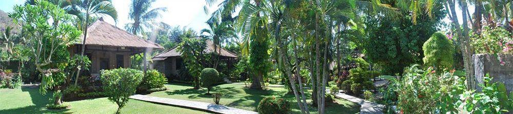 Coral View 3*