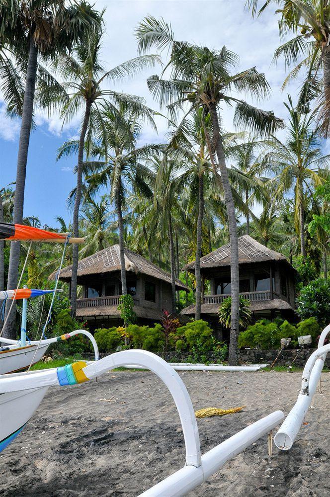 Holiday park Coral View 3*