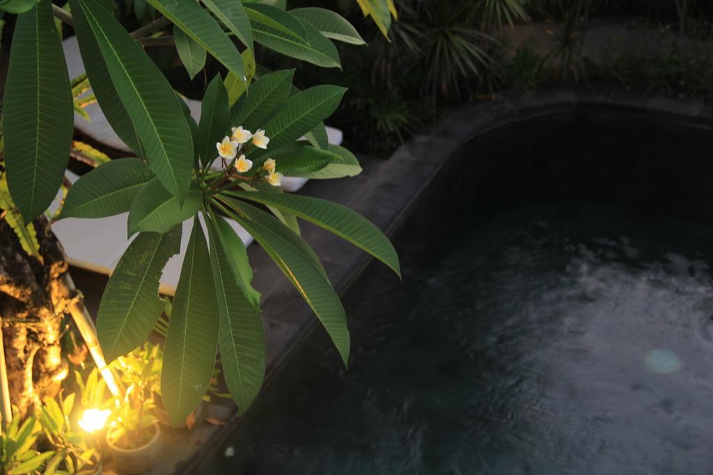 Semarandana Bedrooms&pool