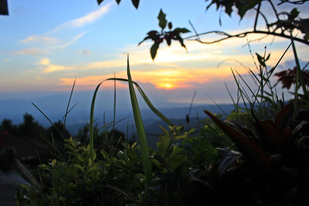Homestay Aryautama Garden