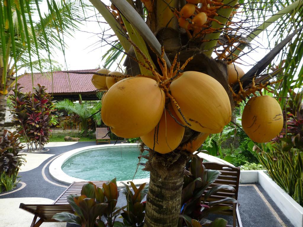 West Bali Villas-umasari Guest house Negara (Bali)