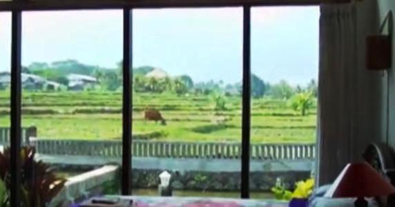 Puri Rasa And Ubud (Bali)