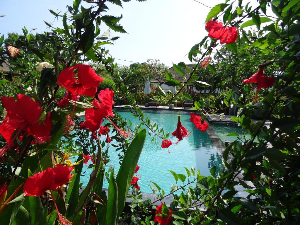 Sunia Loka Bungalows&dive Center