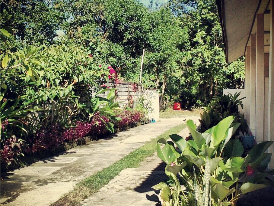 Bali Natural Guest house