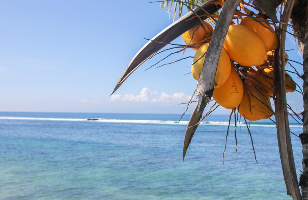 Resor Sea Breeze
