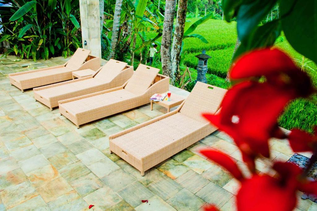 Resort Indigo Tree 3*
