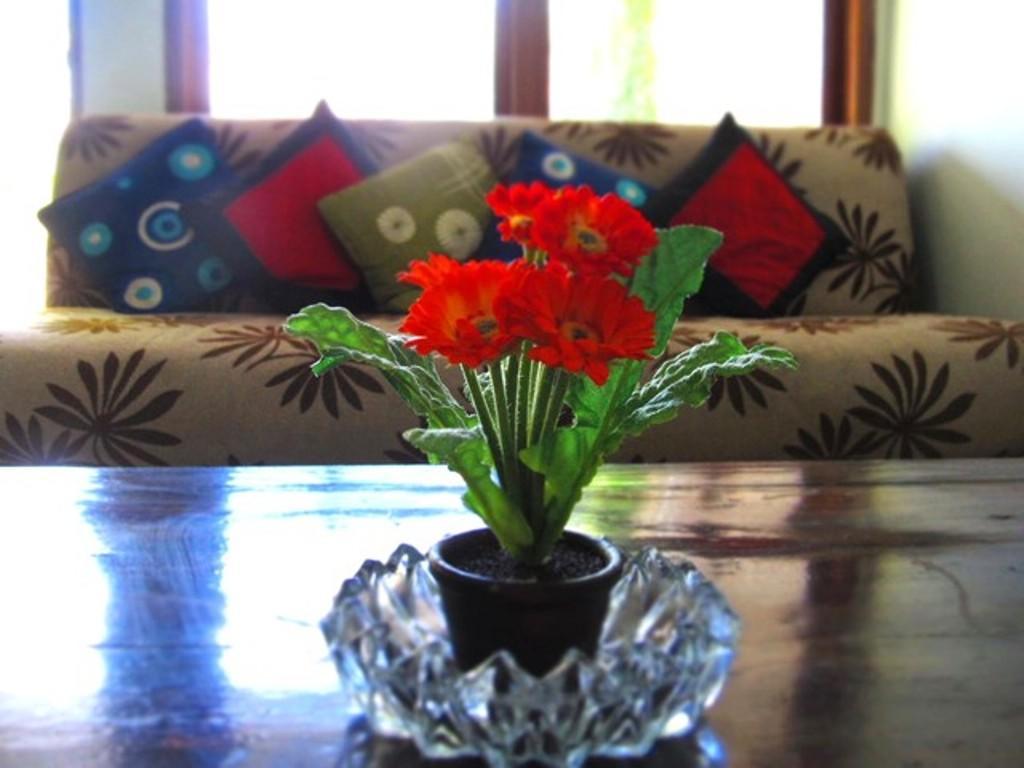 Bodat Villa