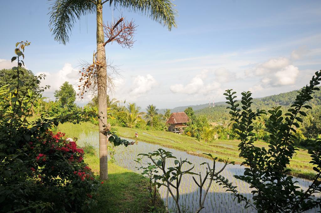 Lesong And Restaurant Hotel