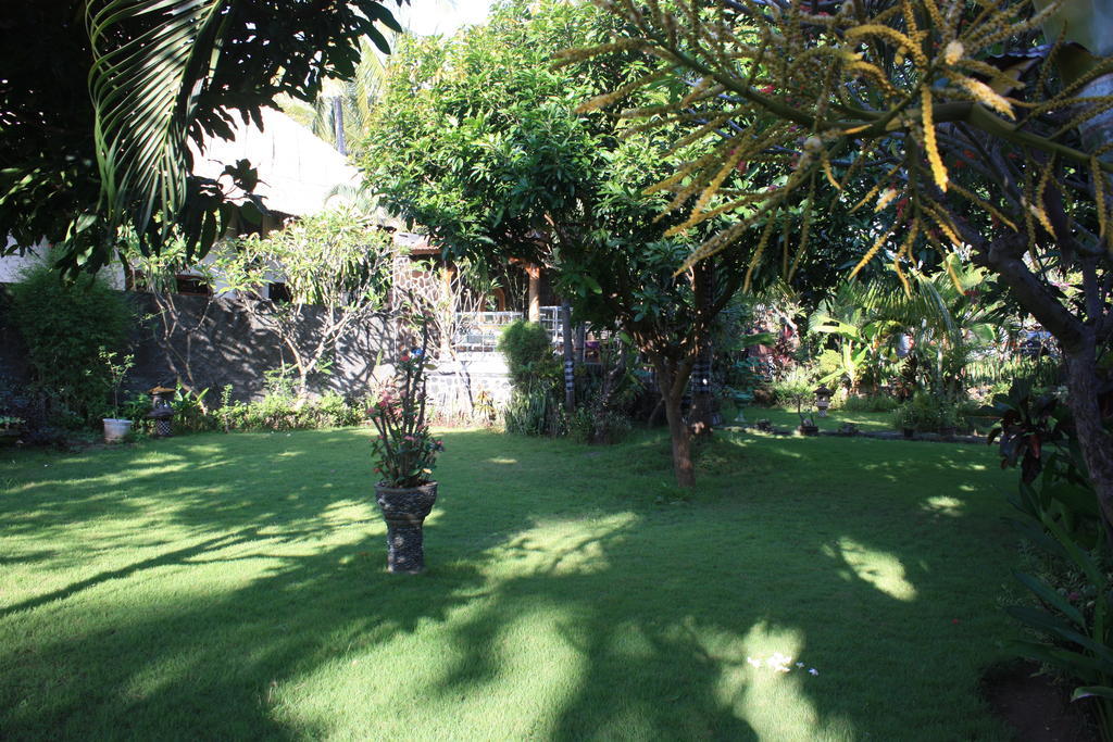Hotel Cleopatra Beach Lovina (Bali)