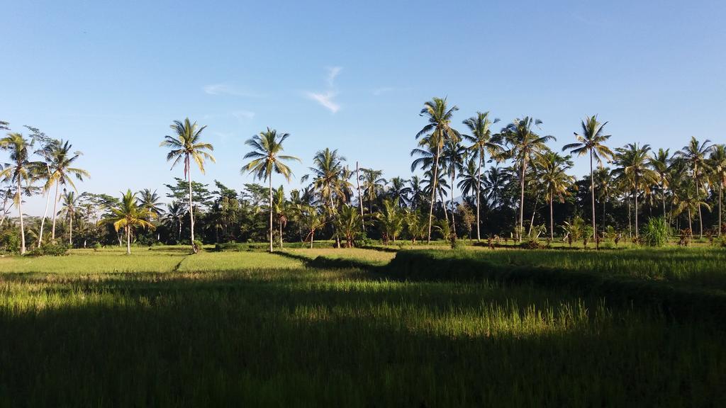 Holiday park Alam Dania Ubud (Bali)