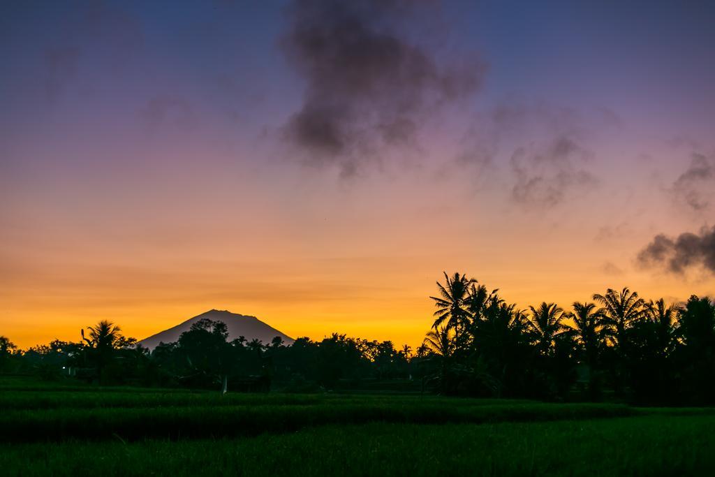 Solo & Retreat Ubud (Bali)