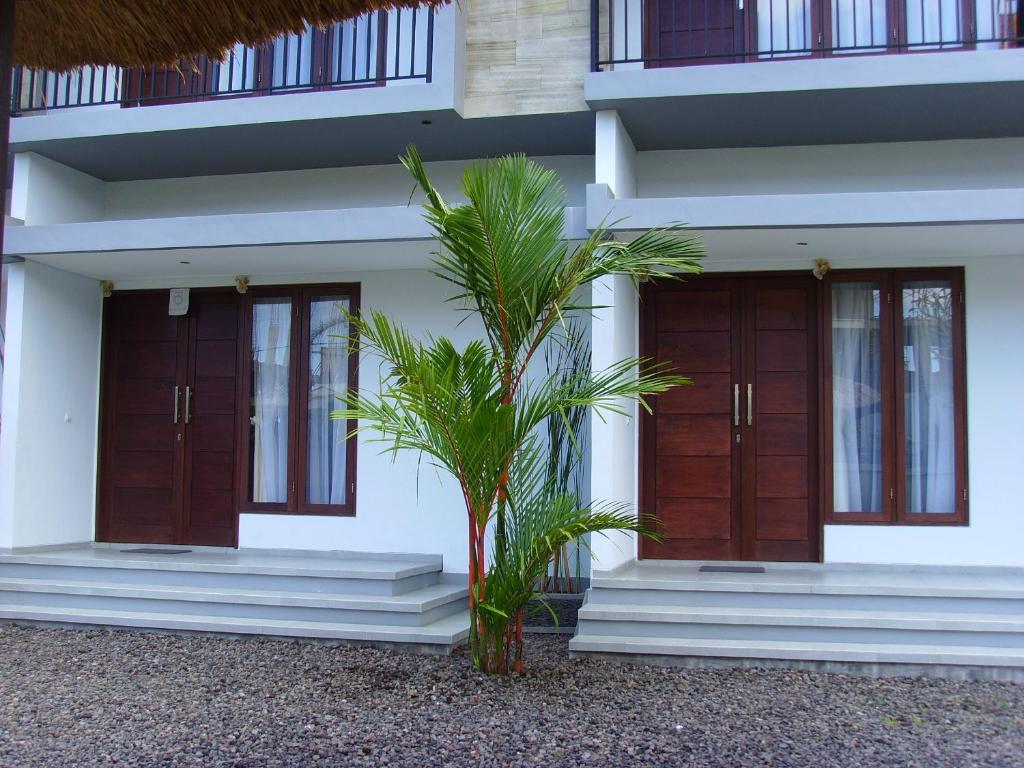 Jonsen Canggu (Bali)