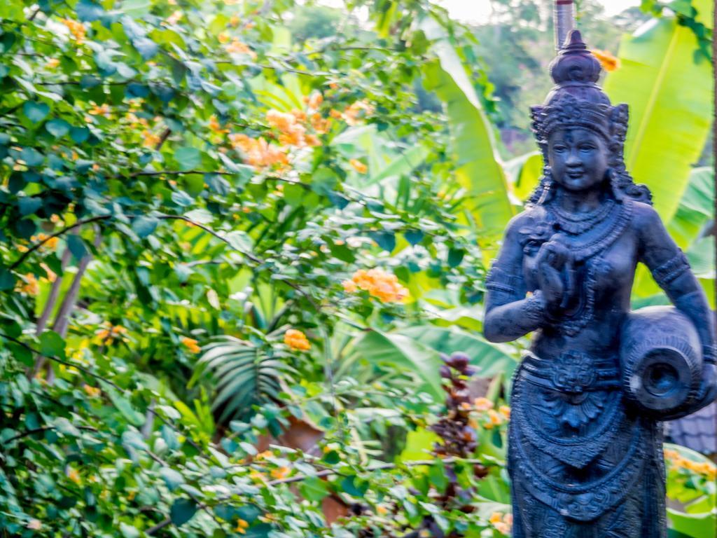 Holiday park Devi's Place Ubud (Bali)