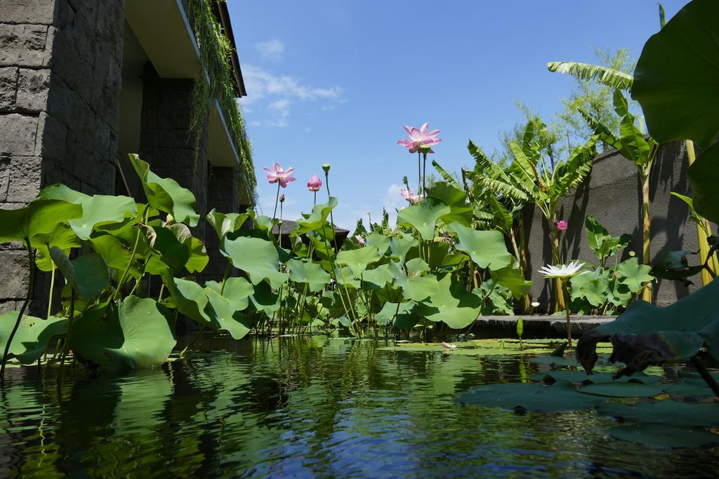 Alami Boutique & Tabanan (Bali)