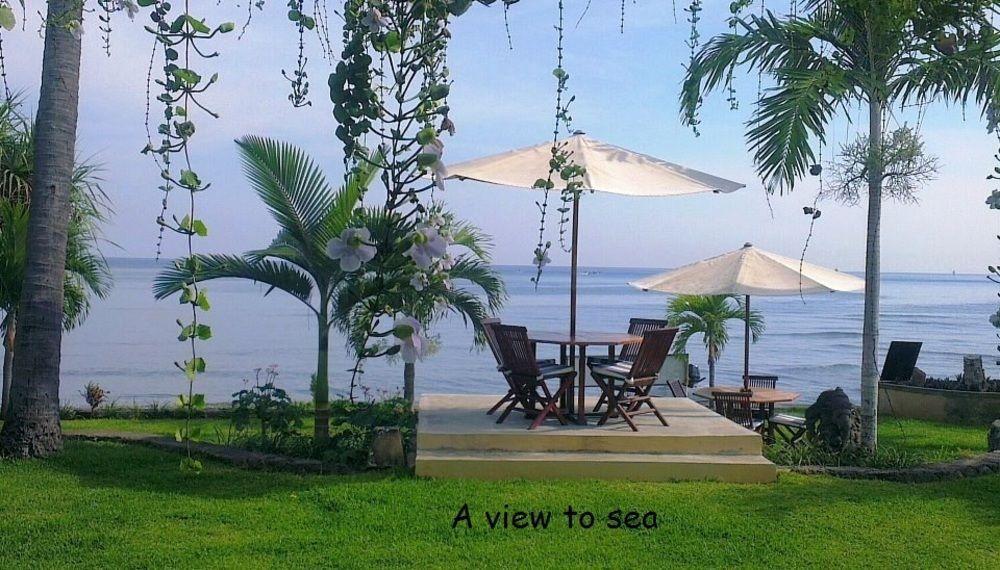 Dolphin Bali Holiday park Lovina (Bali)