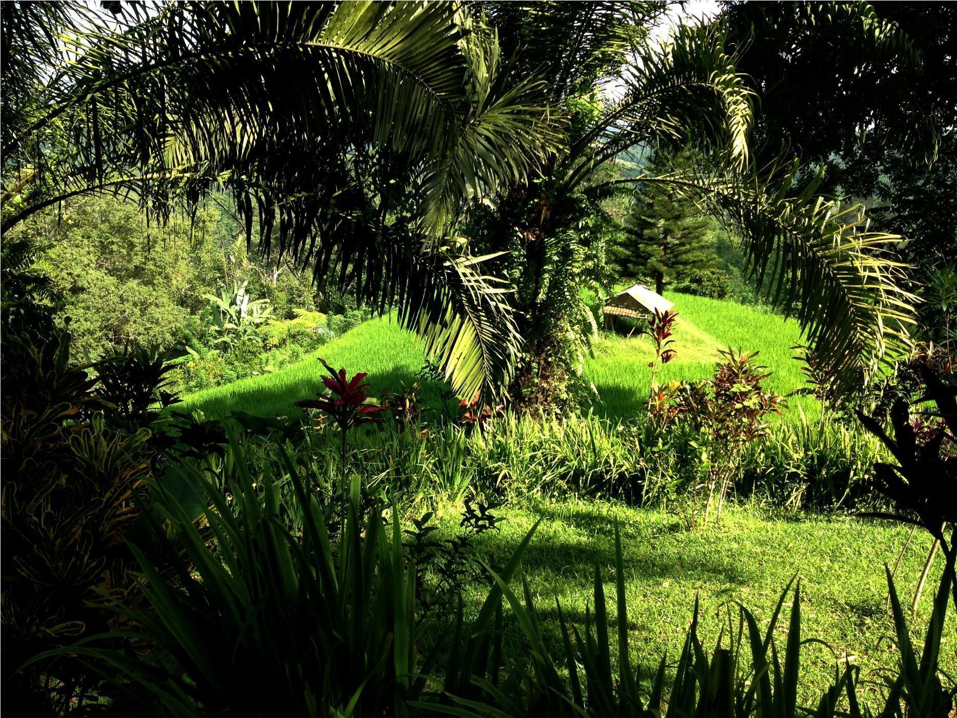 Mantra Nature Retreat Holiday park