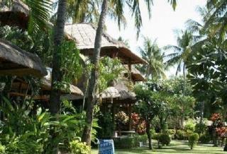 Coral View 3*