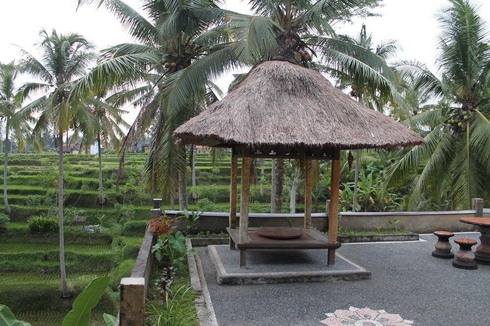 Junjungan And Guest house