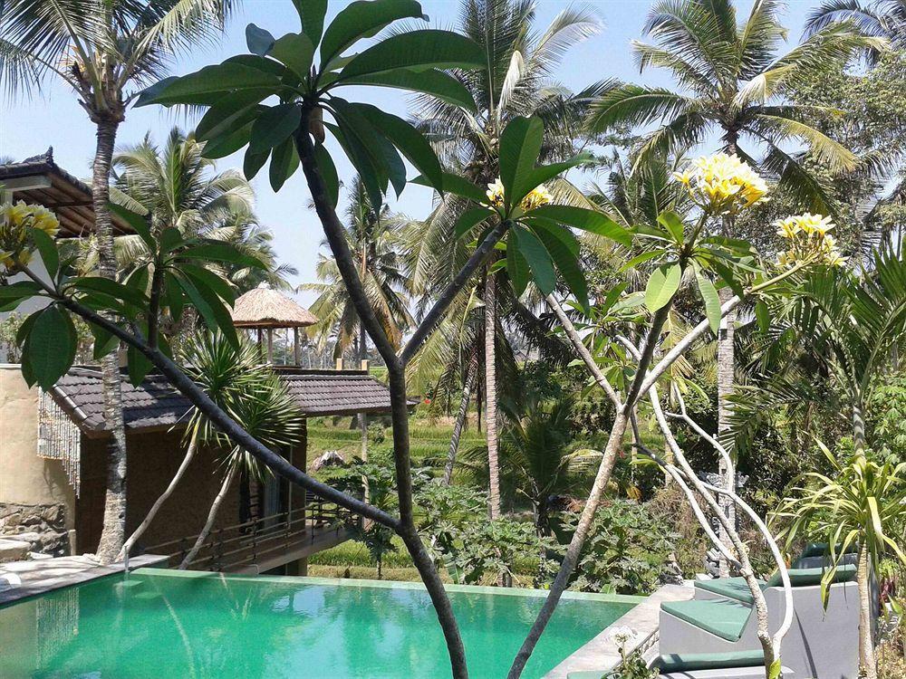 Junjungan And Guest house 3*