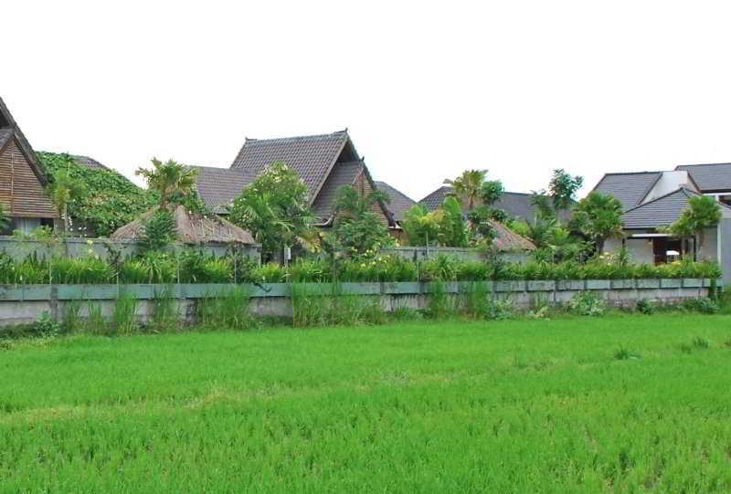 Djabu Seminyak Denpasar (Bali)