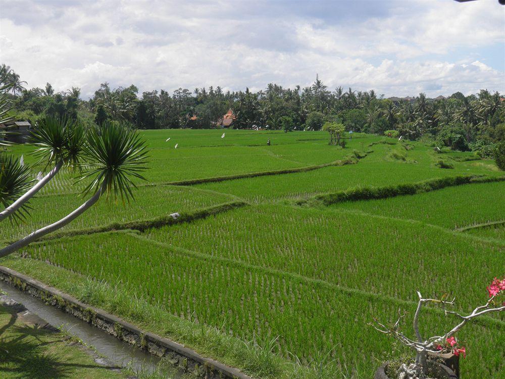 Bumi Resor 3*