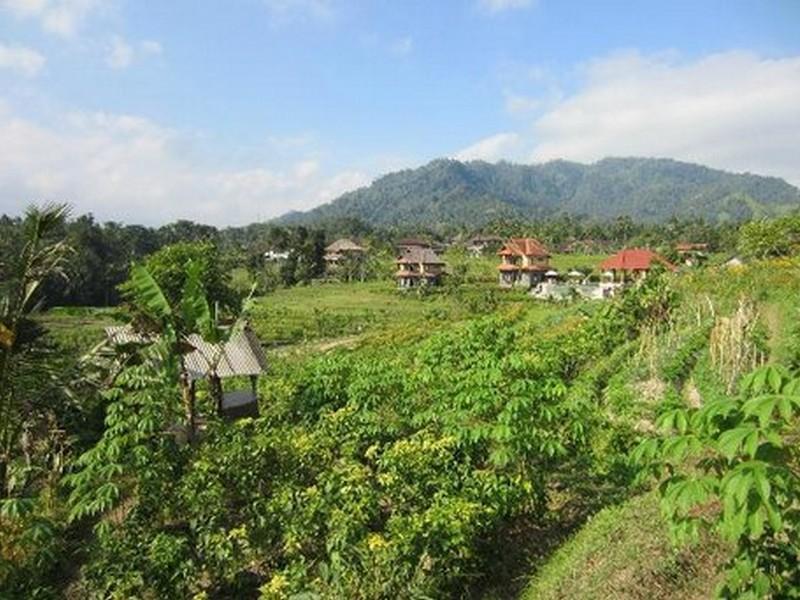 Karma Loka Guest house