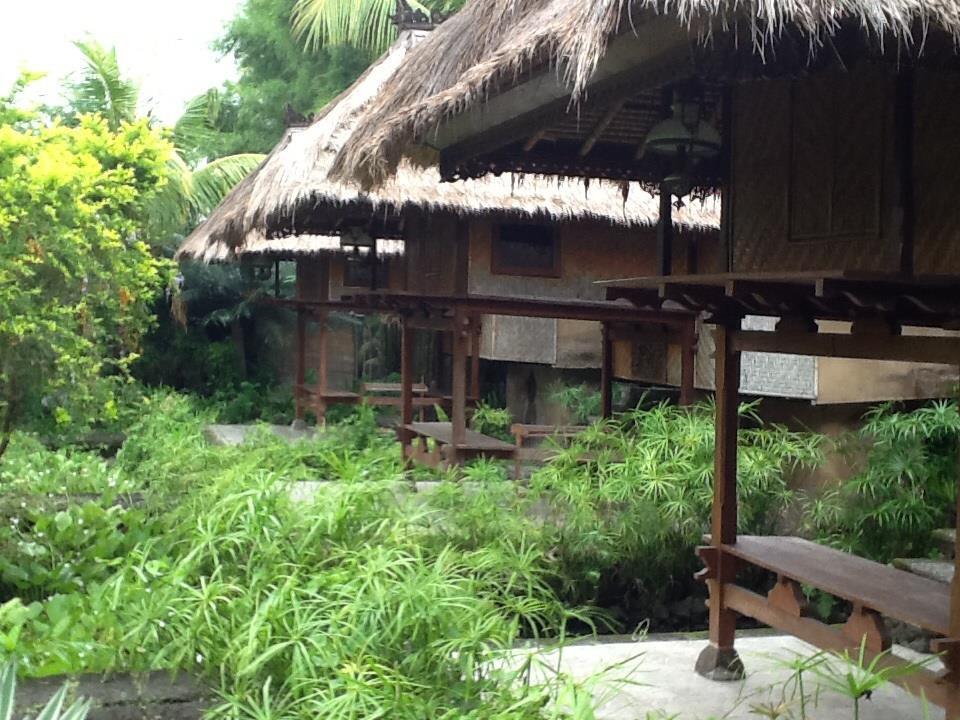 The Nirwana Water Garden Guest house Buleleng (Bali)